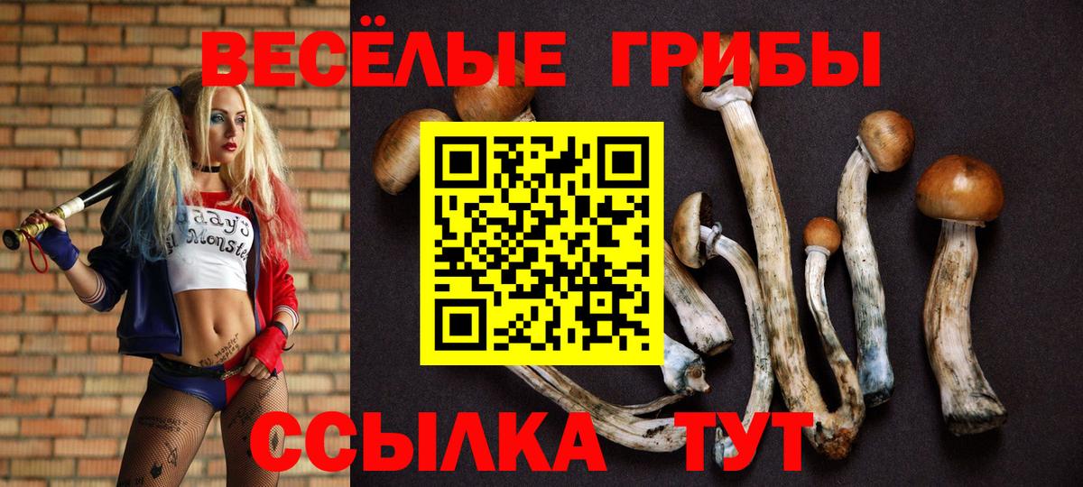 Галлюциногенные грибы Magic Shrooms  Псилоцибиновые грибы мицелий  Вход с VPN  Альметьевск 